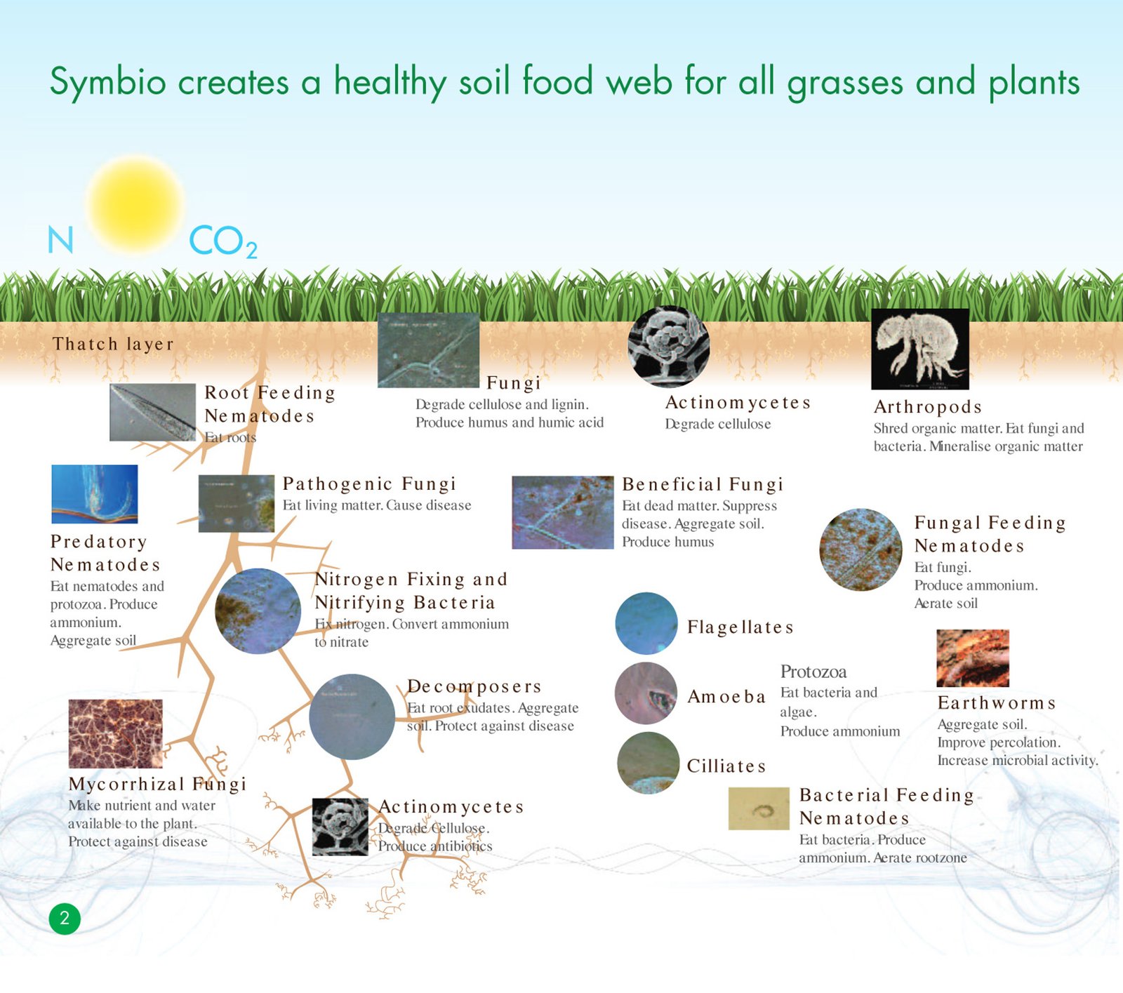 Image from Symbio showing that their product creates a healthy soild food.